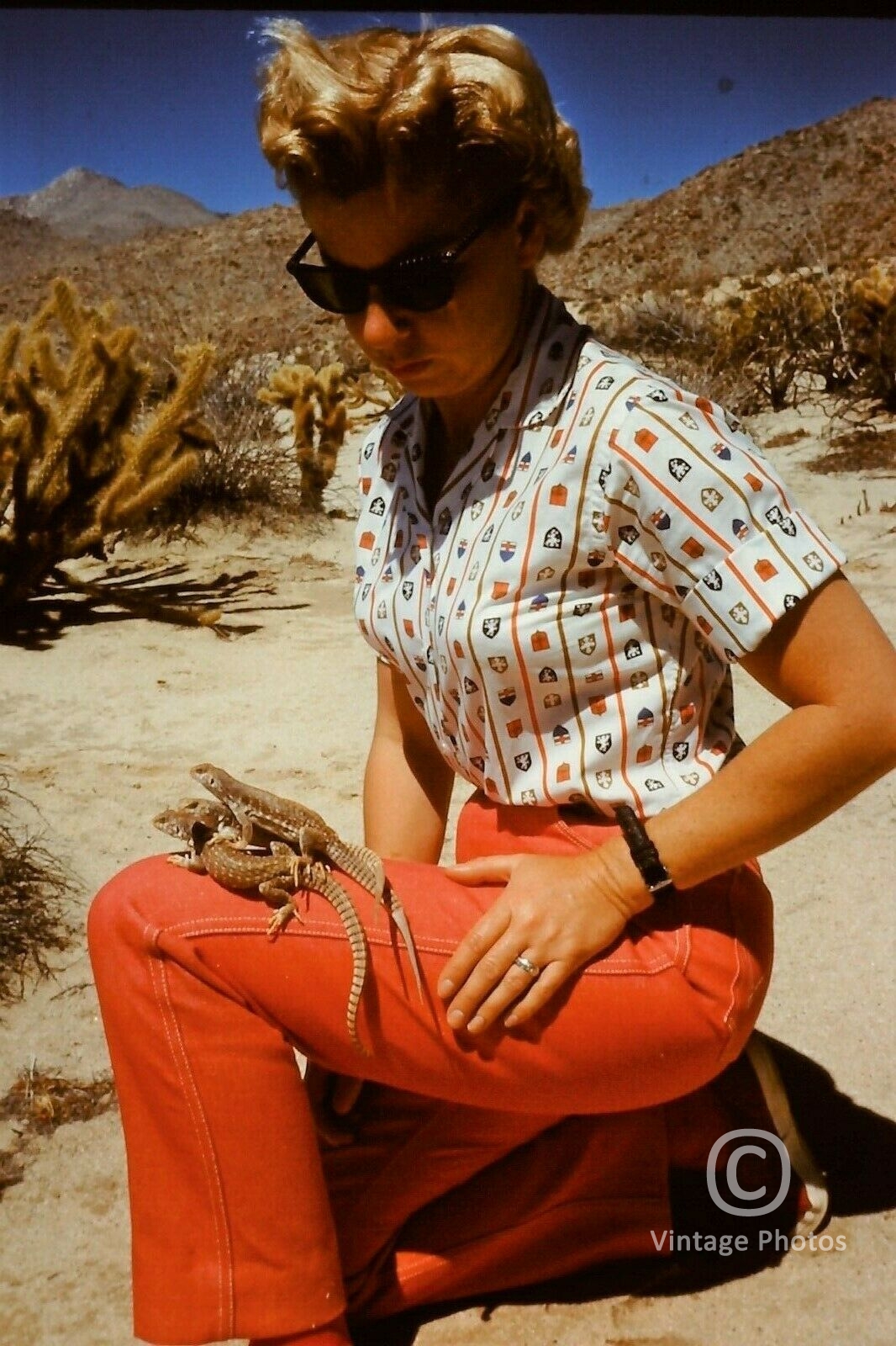 1950s Fashion, Girl in Orange pants with two Lizards in Desert